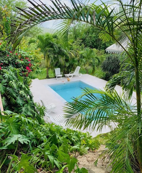 Swimming pool view