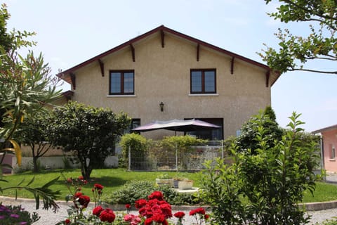 Front view