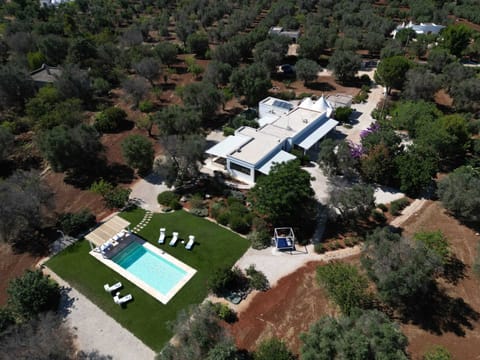 Areal view