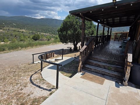 Nest swing under the juniper — part of the shared outdoor play area for the
