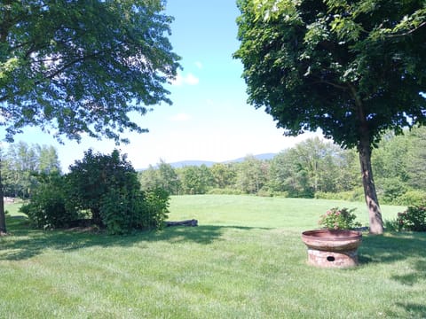 Fire pit under the trees for quiet evenings and stargazing