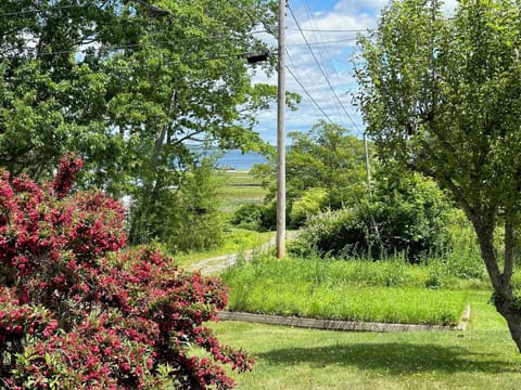 View from the driveway looking at Stover's Beach Preserve-