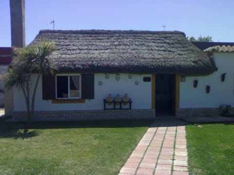 Front view