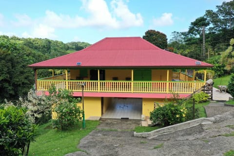 Front view