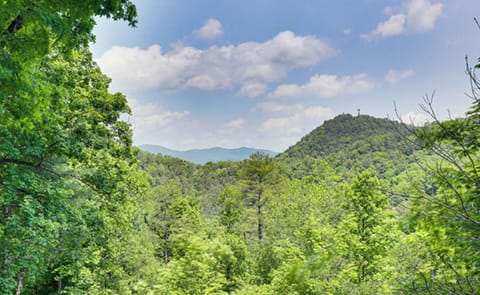 1575qgUxeOYhm6-20220703085454