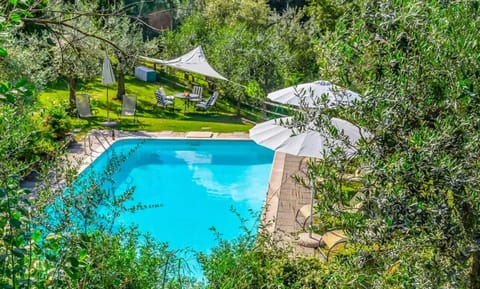 Swimming pool view