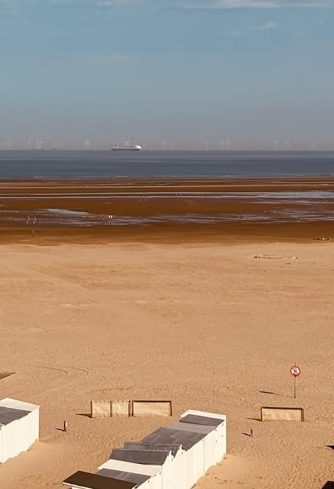 Serene beach views perfect for unwinding. 🌾