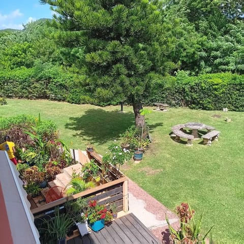 Garden view