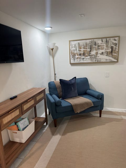 Large tv with storage and credenza