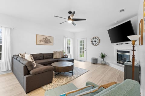 Beach House - Baby Blue Heron