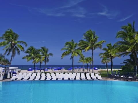 Drift in tranquil blue waters beneath swaying palms.