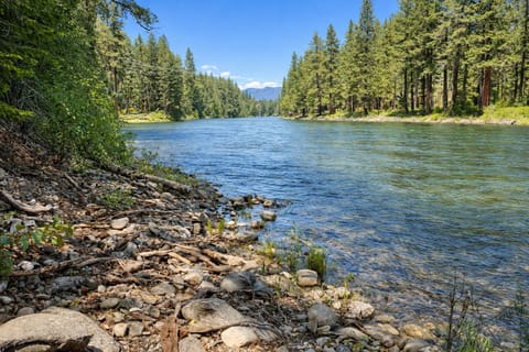 The Wenatchee River winds through towering evergreens beneath distant mountain peaks in this stunning natural landscape.