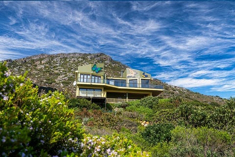 The Butterfly Villa of which the entire ground floor is The Dreamview Lodge