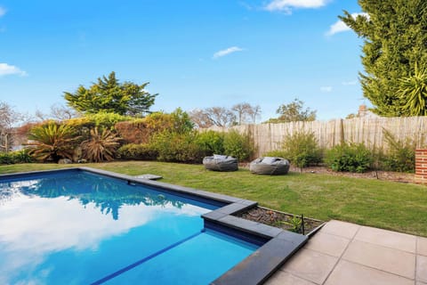 Backyard - Pool