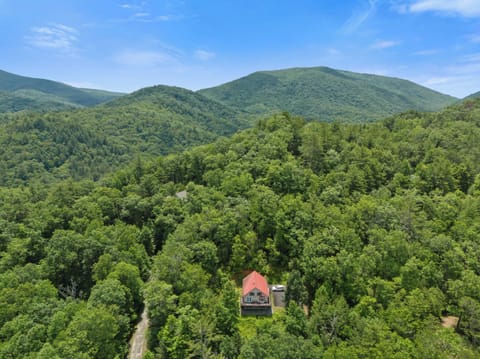 Aerial view of the home.