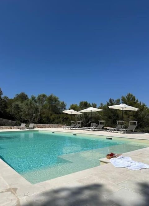 Autumn, Pool, Spring, Summer