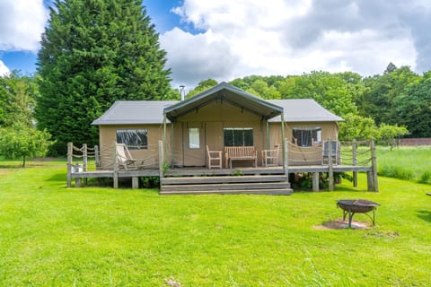 Teal, dog friendly at Exton Park at Lantern and Larks