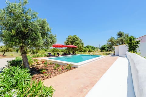 Swimming Pool, Sun Loungers, Umbrellas and Garden