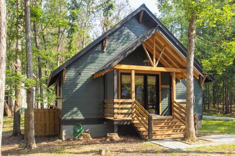 Welcome to The Sapsucker