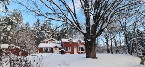 Winter at Colby Pond Hollow