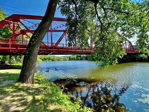 Park and beach on the Creek, 5 minute walk from the home