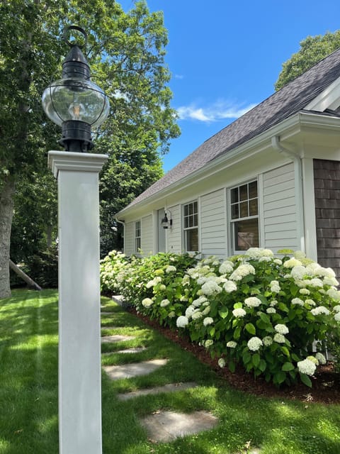 exterior, lots of beautiful blooming hydrangeas 