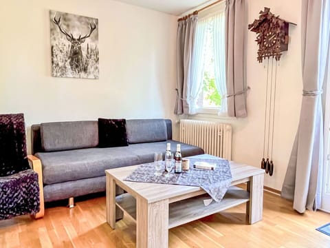 Furniture, Interior Design, Couch, Flooring, Floor, Wood, Room, Living Room, Textile, Lighting