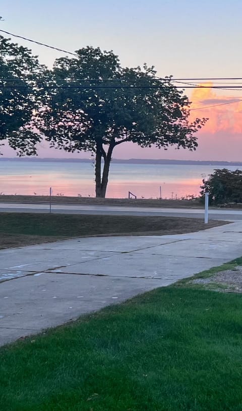 Front Window View
