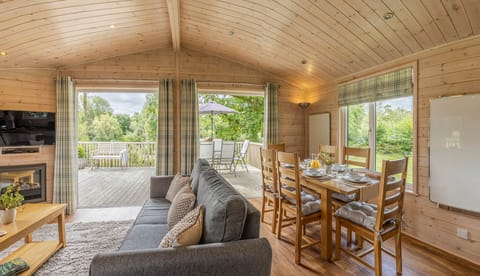 Living Room with sofa, TV and electric log burner