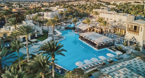 Take in the expansive pool scene framed by palms and cabanas.