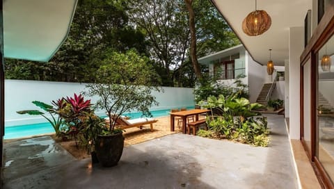 Casa Catalina-Beach-Managment-Nosara-Costa-Rica-Optic-Jungle-Photography-4