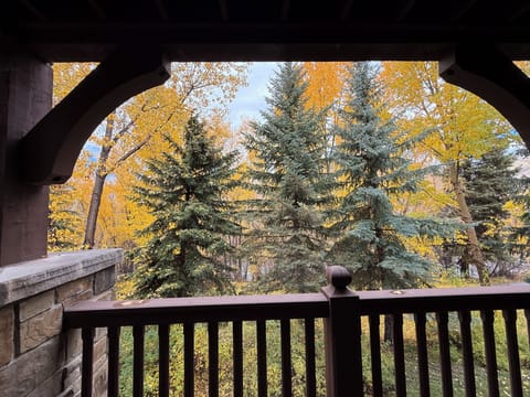 Enjoy morning coffee from your private patio overlooking the Eagle River