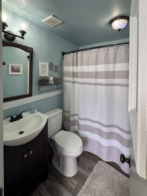 Bathroom with a dark vanity, white sink, toilet, and a shower curtain in a soothing color palette.