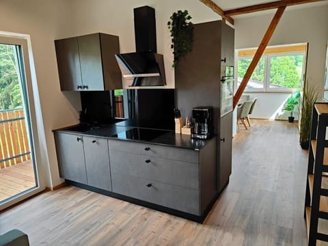 Apartment Erna - Burgbichl Apartments Apartment in Spittal an der Drau