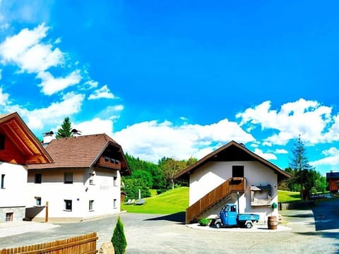 Apartment Manuel - Burgbichl Apartments Apartment in Spittal an der Drau