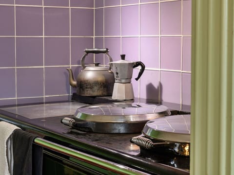 Kitchen Appliance, Kitchen, Countertop, Serveware, Tile, Home Appliance, Ceramic, Kitchen Stove, Stove