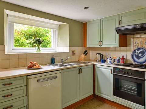 Kitchen, Kitchen Appliance, Countertop, Cabinetry, Major Appliance, Kitchen Sink, Kitchen Stove, Wood, Interior Design, Stove