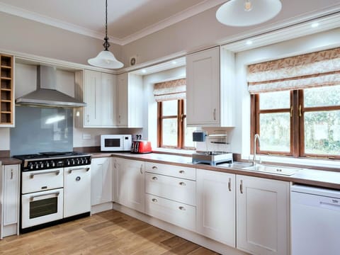 Kitchen, Kitchen Appliance, Interior Design, Cabinetry, Countertop, Major Appliance, Wood, Flooring, Ceiling, Light Fixture