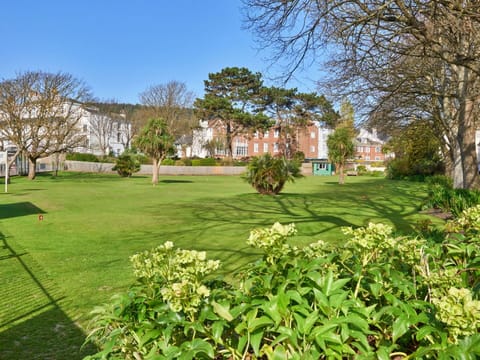 Leaf, Shrub, Garden, Lawn, Groundcover, Spring, Park, Yard, Landscaping, Estate