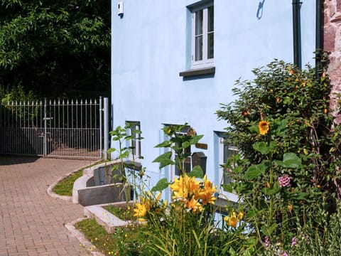 Flower, Yellow, Shrub, Garden, Yard, Landscaping, Backyard, Fence, Home Fencing