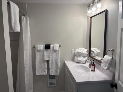 Clean and functional private bathroom just off the main room.