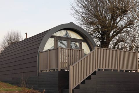 d91fed50-e758-4b8e-b6ff-55881afb9349