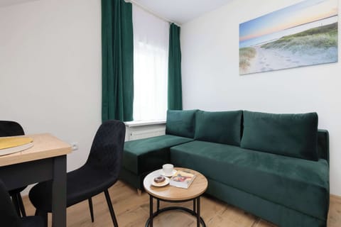 Comfortable, fold-out sofa in the living room. 