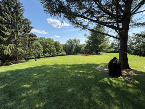 beautiful field on our property