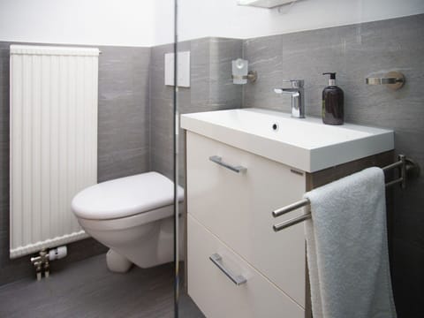Bathroom, Plumbing Fixture, Flooring, Toilet Seat, Floor, Toilet, Wall, Bathroom Sink, Interior Design, Sink