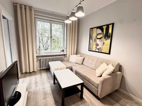 A living room showcasing a gray sectional sofa, a TV on a modern white stand, and decor details such as cushions and a coffee table.