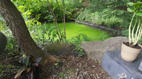 outdoor patio overlooking the pond
