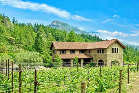 Cabernet Vineyards, Stunning Mountain Views, on 38 Acres, Pool, Pond, & more!