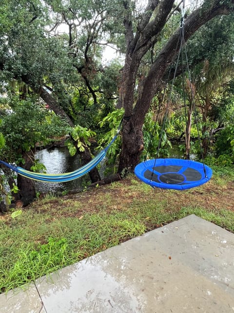 Backyard
