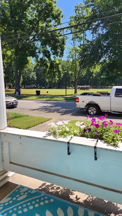 View of Central Park from the front